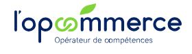 Op Commerce
